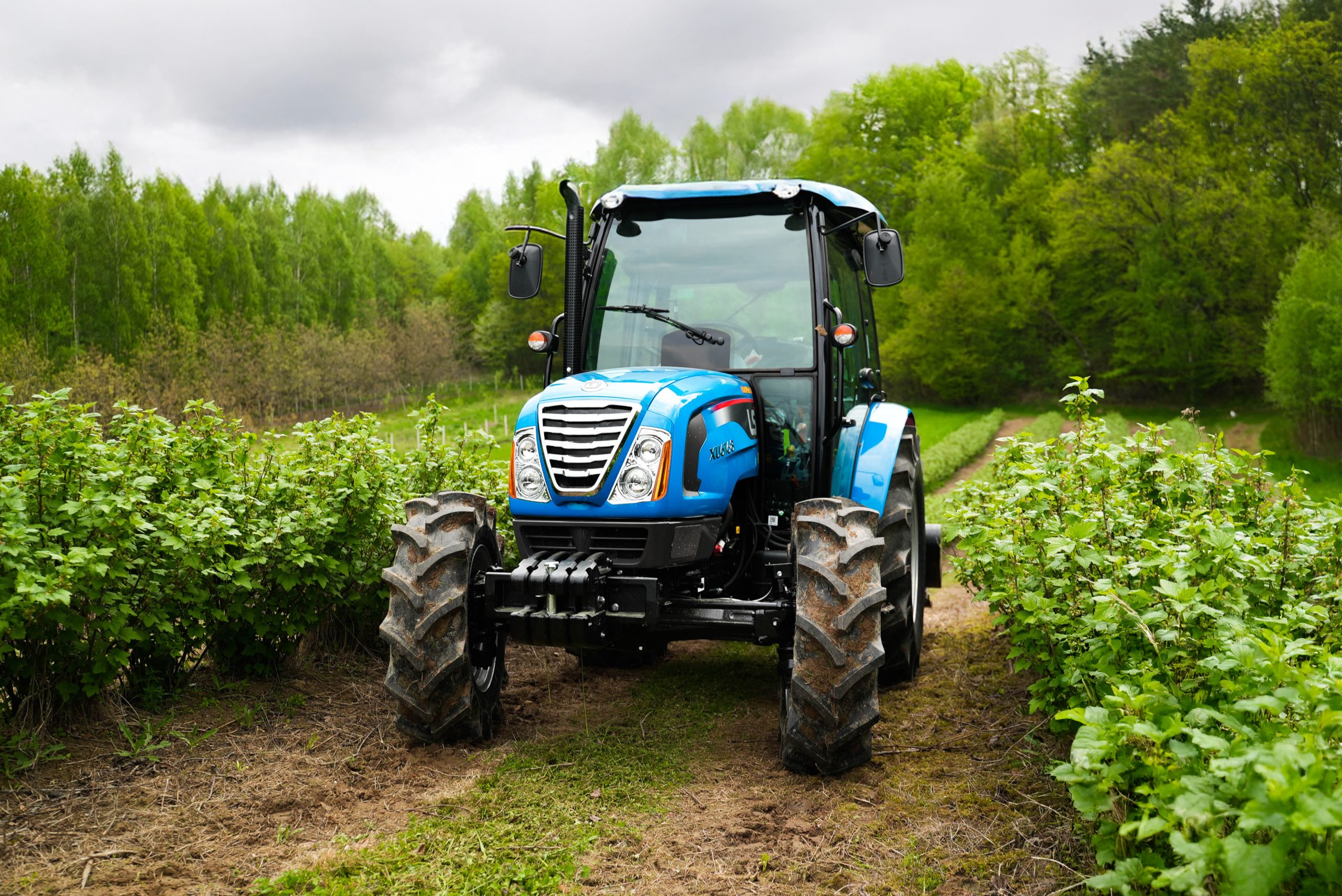 LS Tractor XU6168 z kosiarką bijakową EFD 180 4FARMER – niezastąpiony duet w uprawie porzeczki